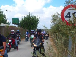 XIX Concentracion - 2012